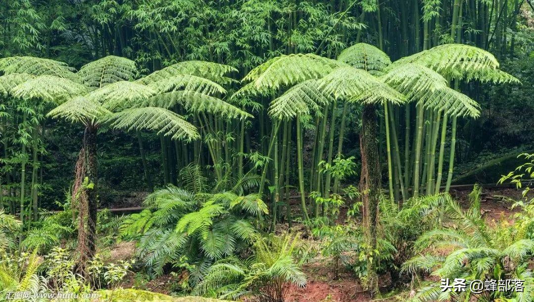中药材生意怎么做才能赚钱,怎样在中药材市场上赚钱