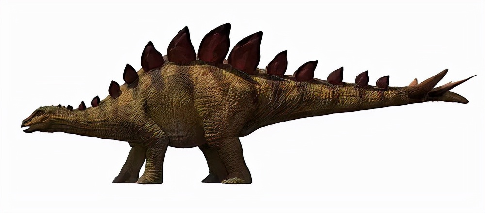 距今1.7亿年，重庆发现亚洲最古老剑龙，物种起源背后究竟有何秘密？