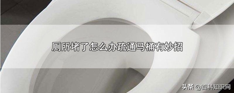 蹲式厕所马桶堵塞如何疏通,马桶堵了怎么疏通最快方法视频