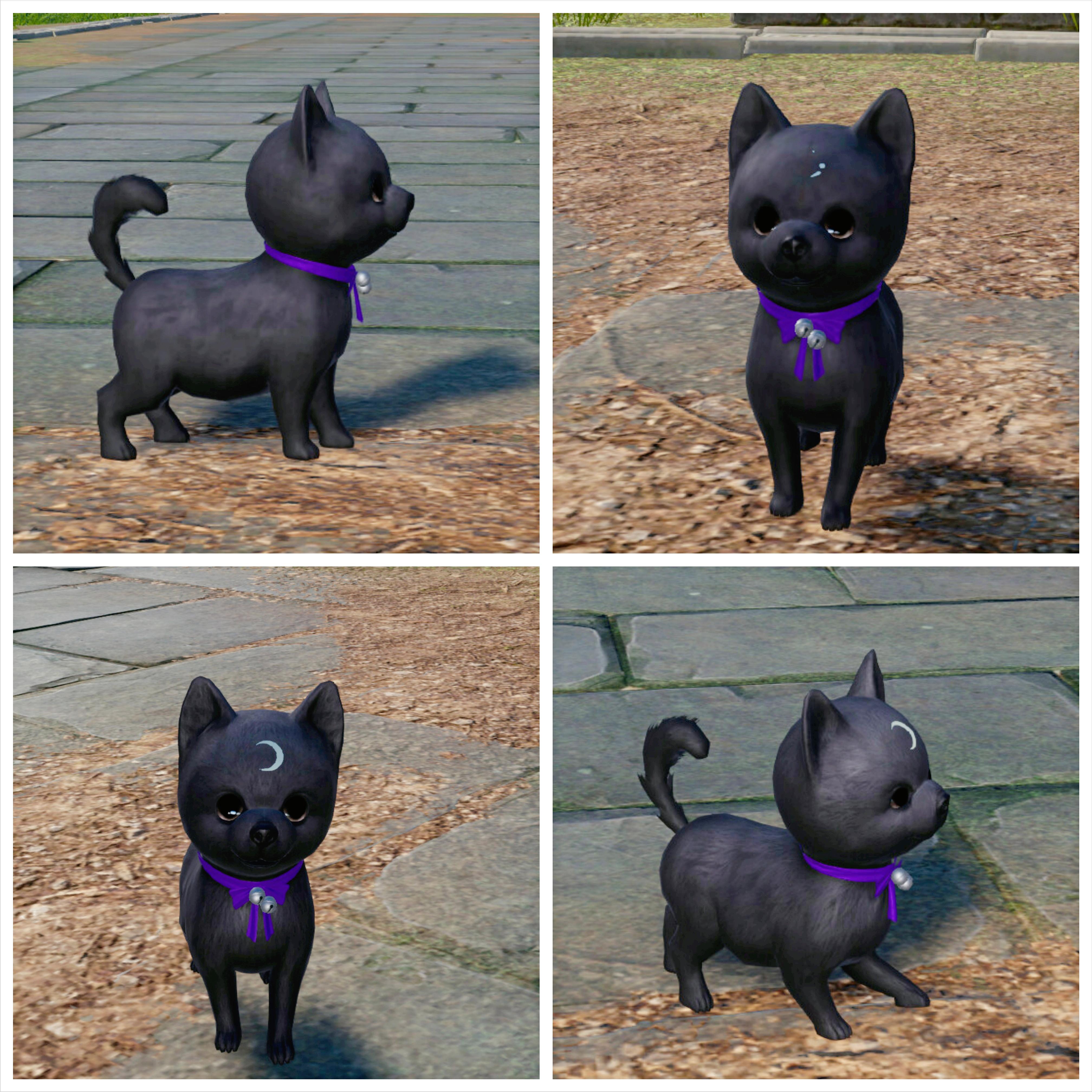 剑网三最新宠物奇缘汇总,剑网3所有剧情视频攻略