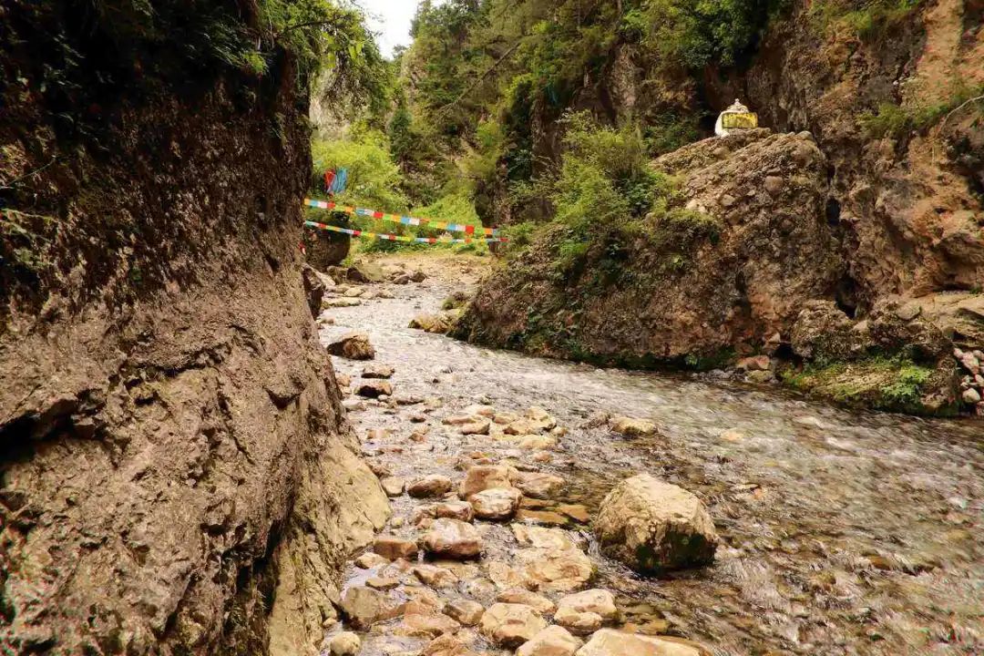 出发西北游,去西北旅行吧