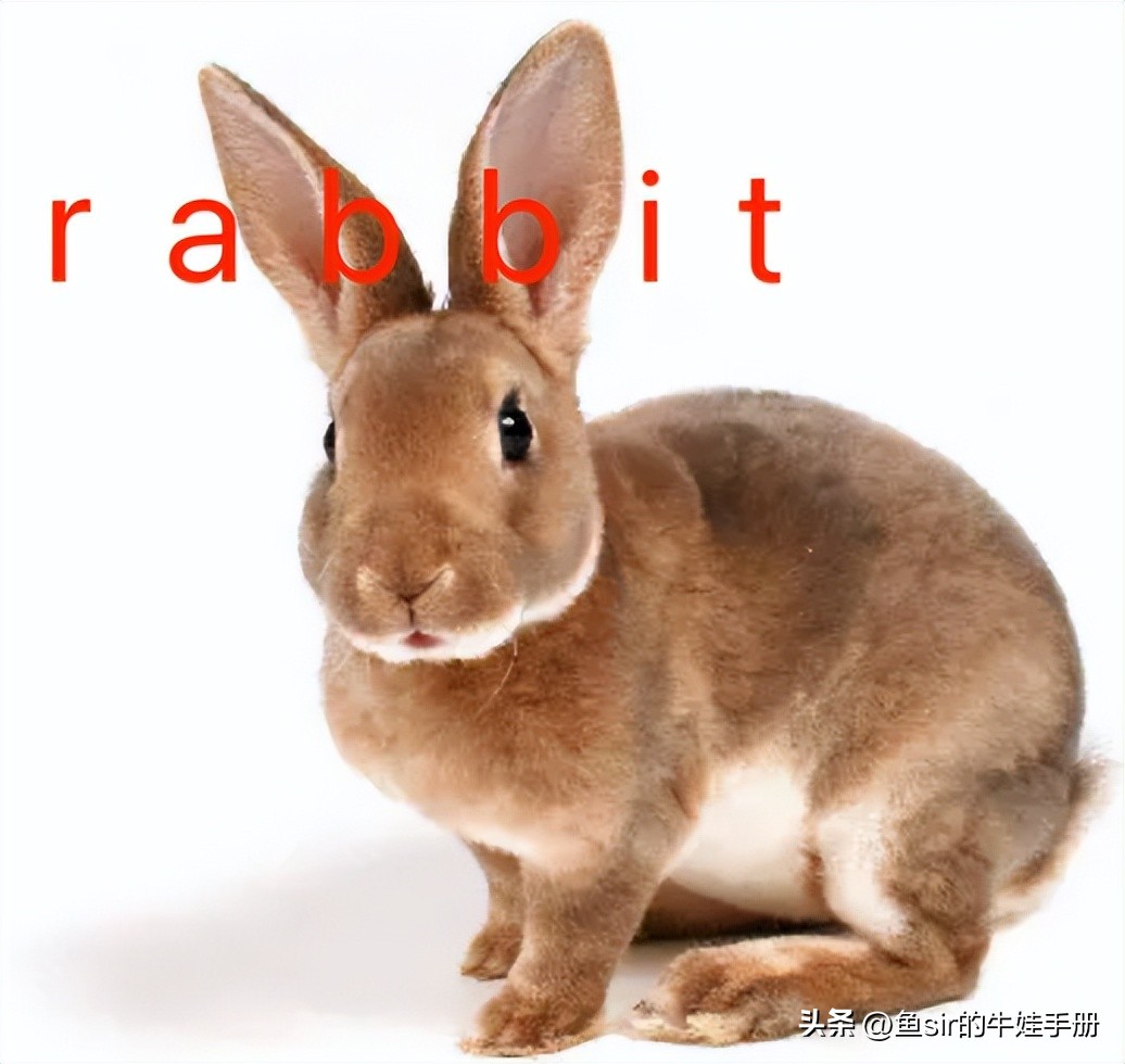 小学生如何快速背单词诀窍,背单词的最快有效方法小学生