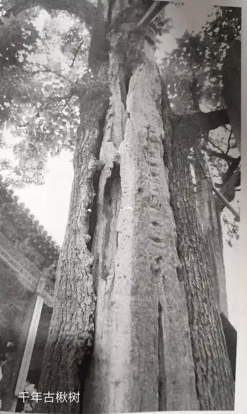 曰宛，曰宛中，隆，曰隆中，曰南阳，曰躬耕于南阳解密