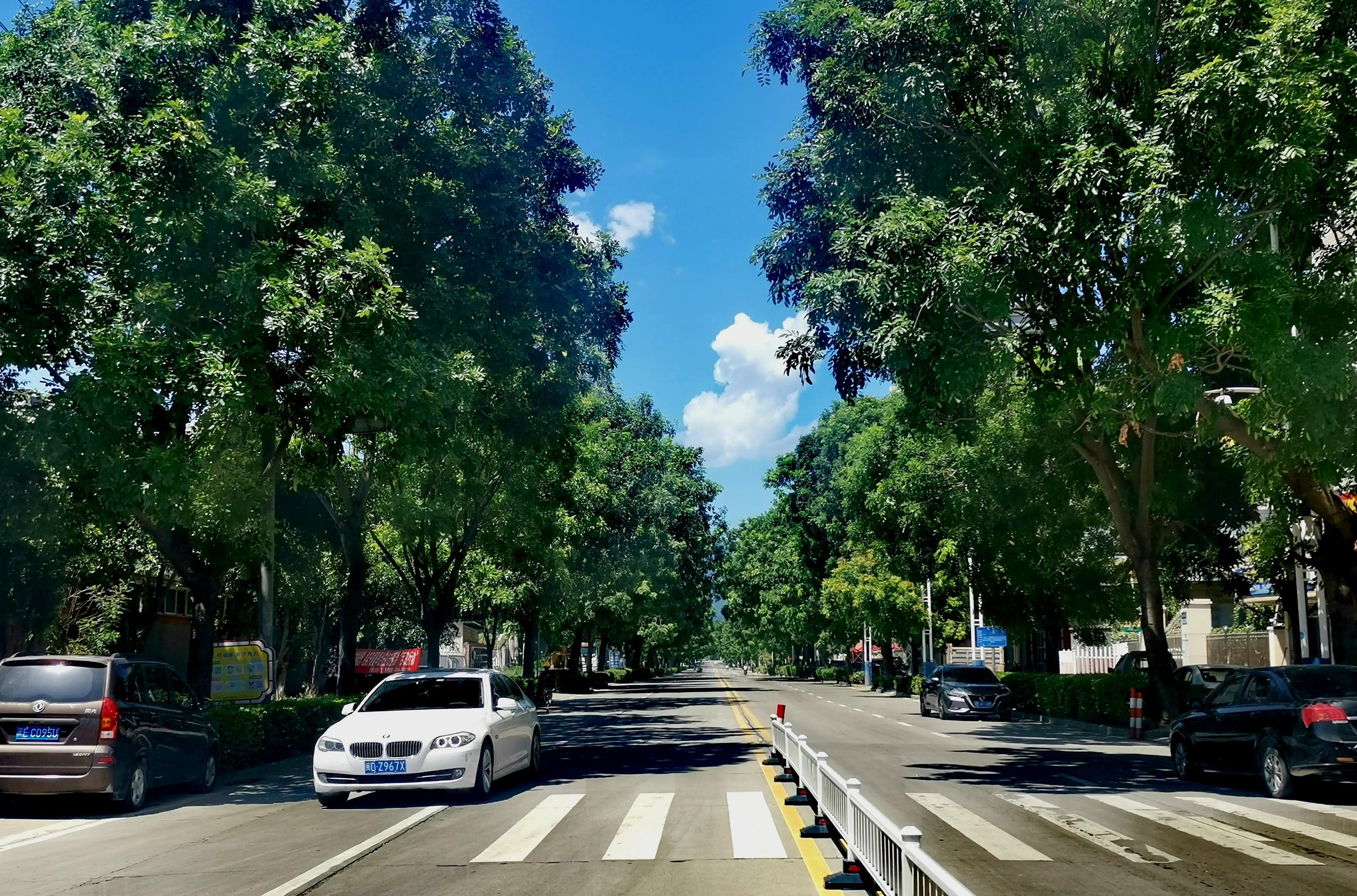 漳州市美丽的小镇,漳州长泰区旅游