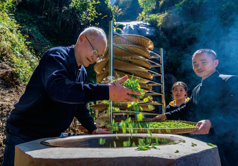 恩施硒茶品牌整合,恩施硒茶功效与作用