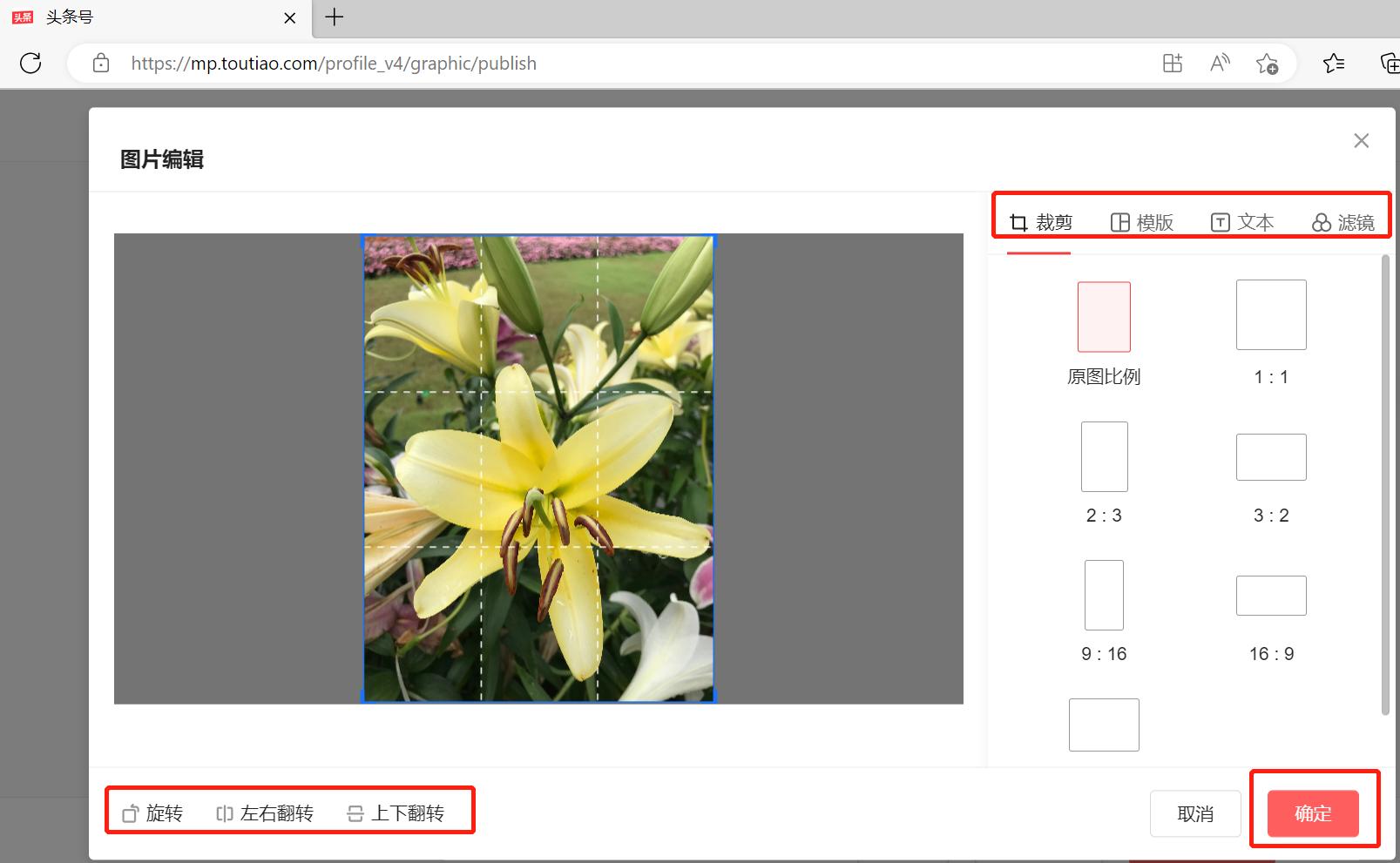 头条手机文章图片怎么排版,在头条写作手机上如何排版