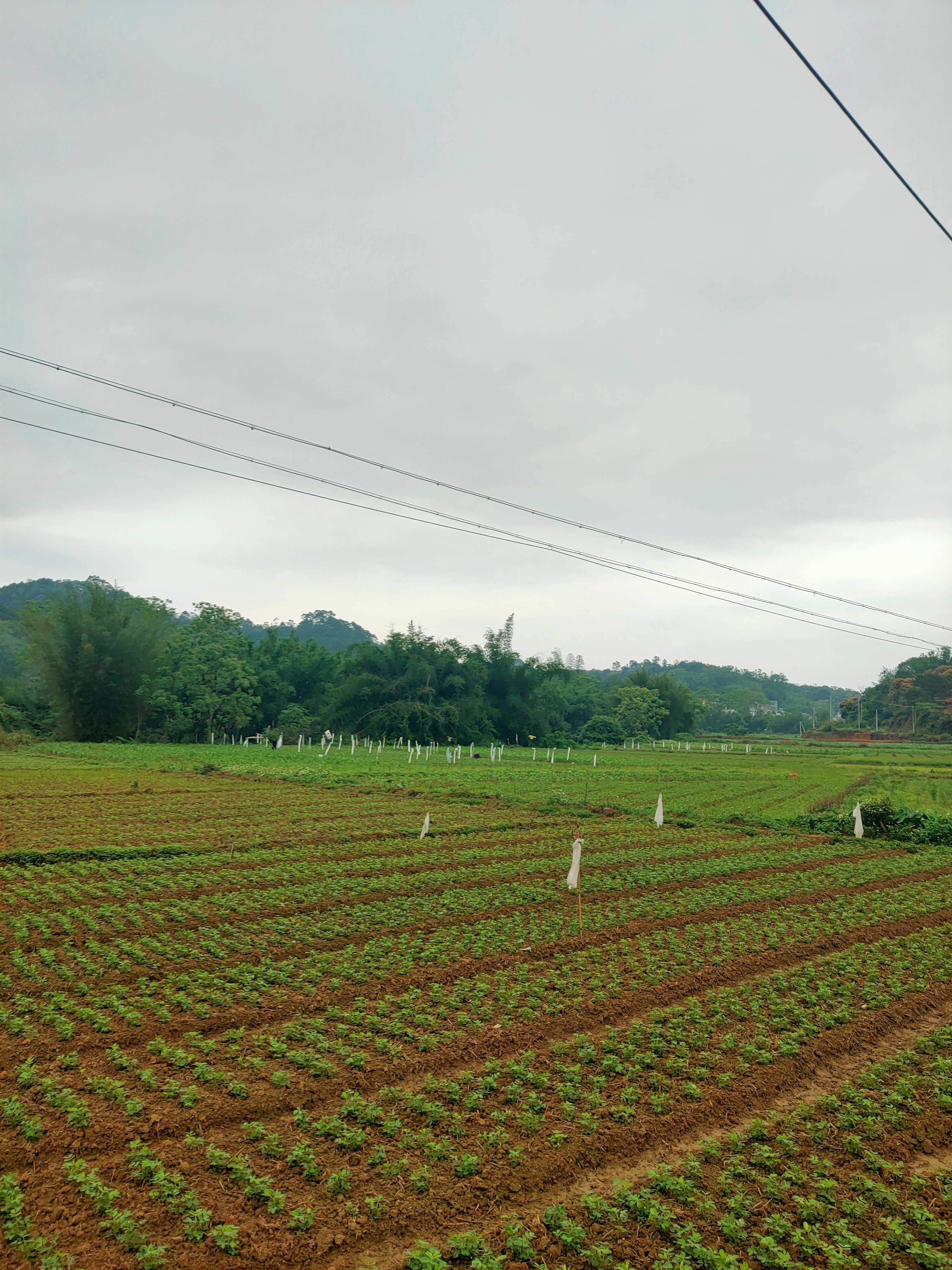 回家的相聚,相见欢同乡聚会