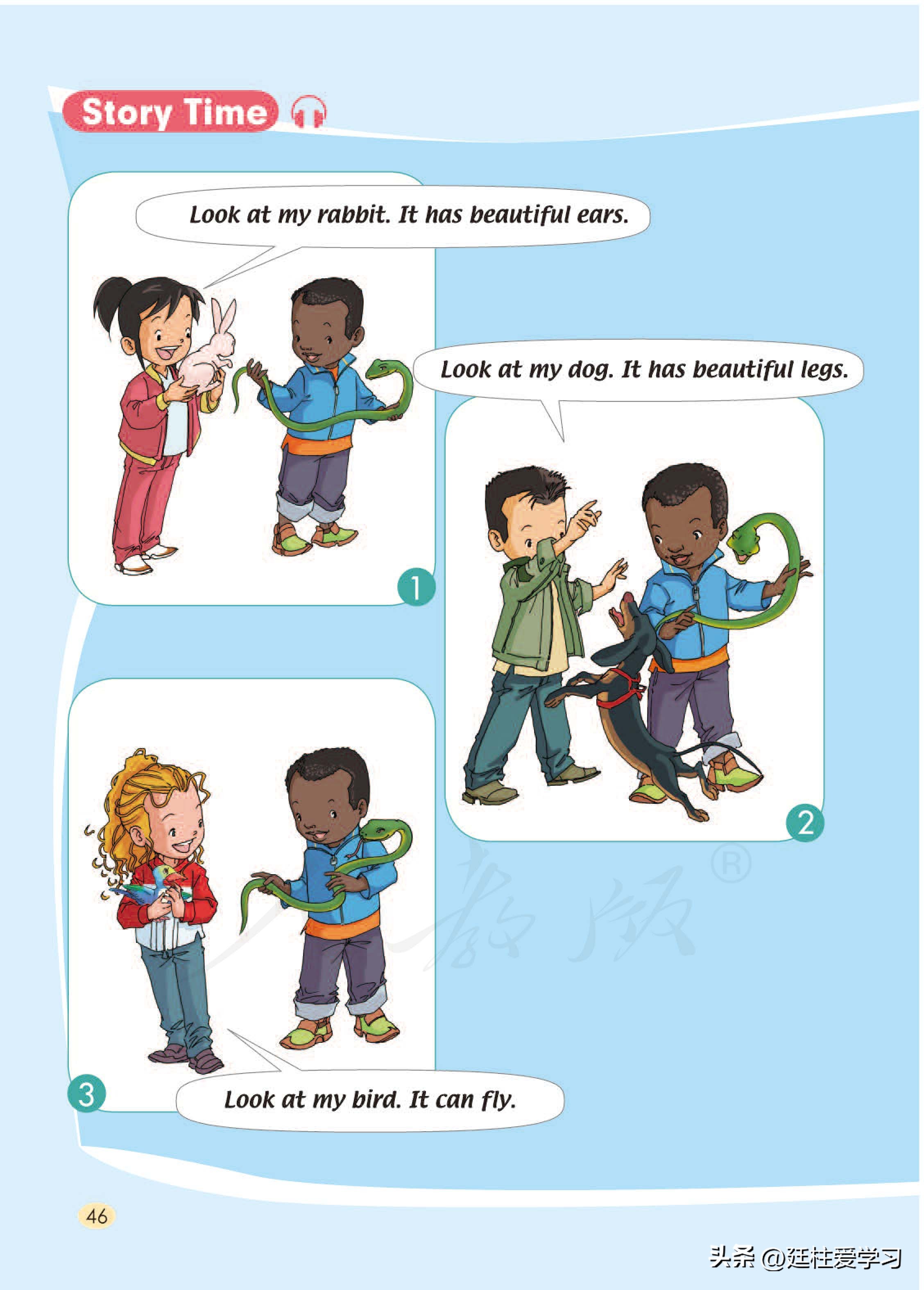 小学英语外研版三年级上册,小学英语精通版三年级上册