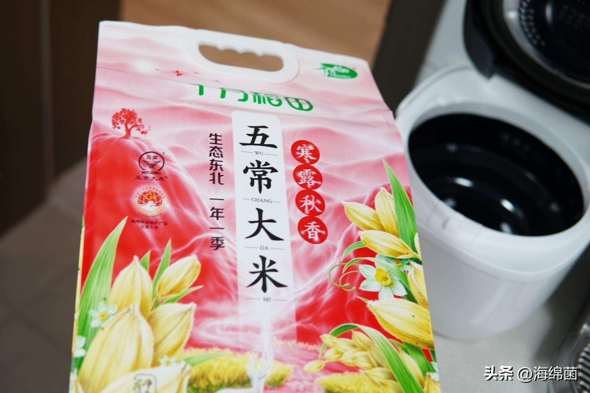 灵魂米饭,灵魂电饭煲