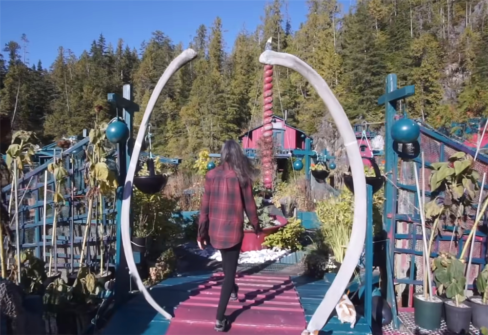 夫妻二人买下海岛过起隐居的生活,夫妻隐居小岛与世隔绝