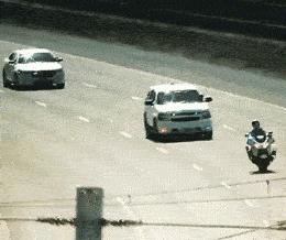 搞笑gif开心一刻这大概就是爱情吧,搞笑gif为了胜利我将不择手段