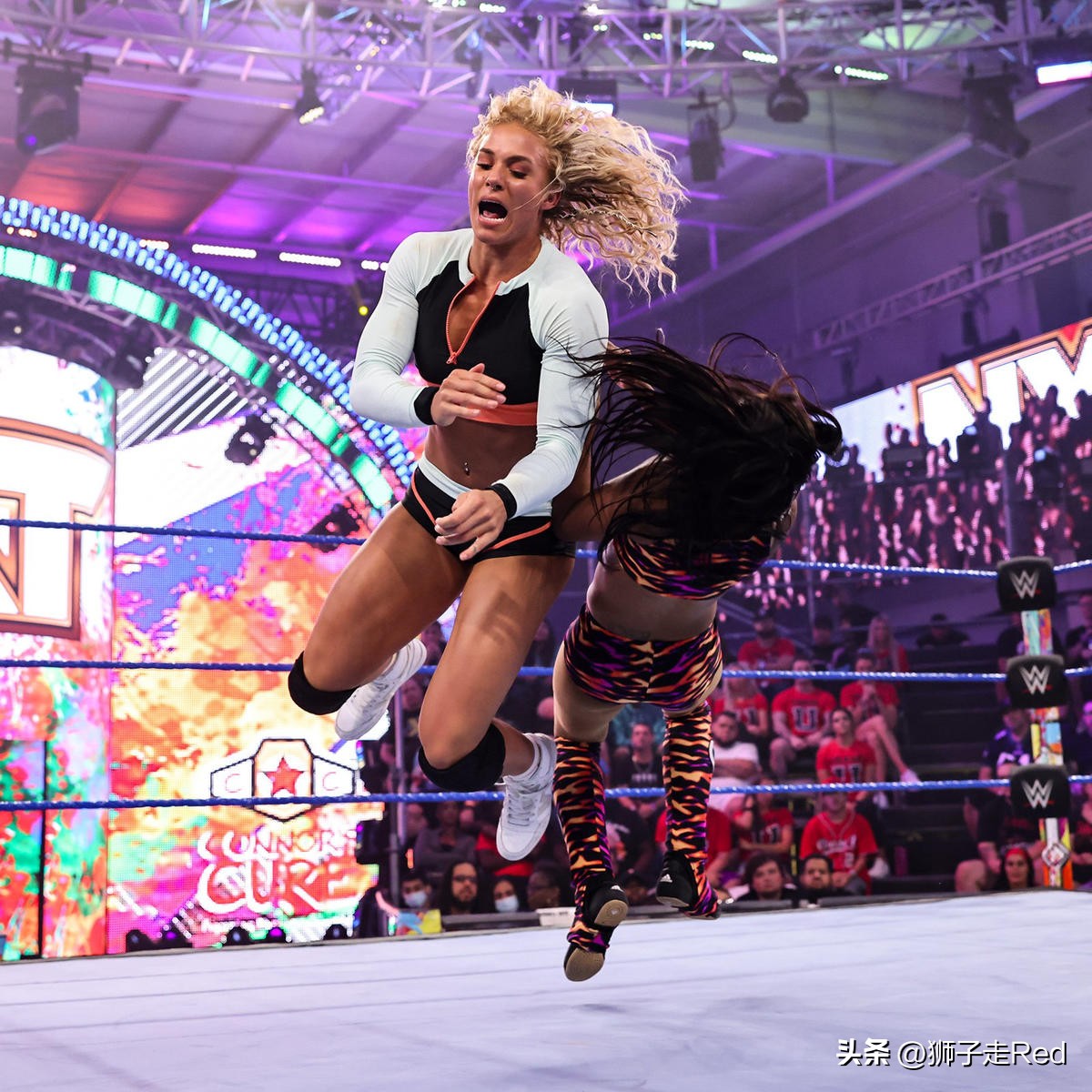 wwe第1163期完整版,wwenxt667期最新赛事