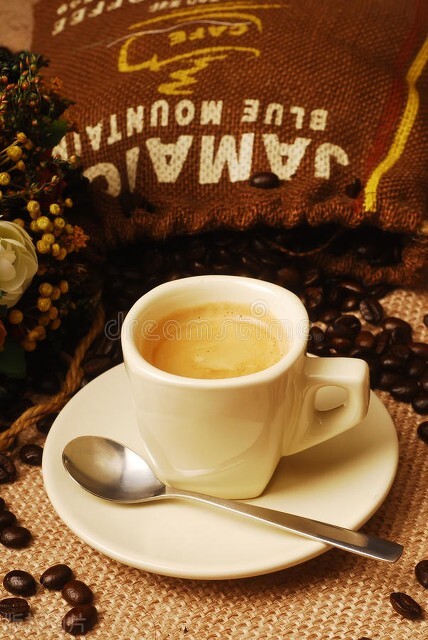 最出名的猫屎咖啡,什么猫屎咖啡最好