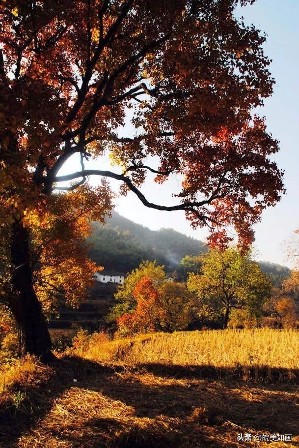 12月安徽值得旅游的地方,8月份适合旅游的安徽地方推荐