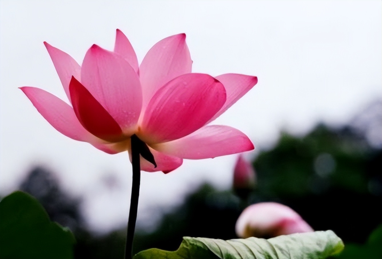 什么人需要闭环管理,真正靠谱的人都闭环管理