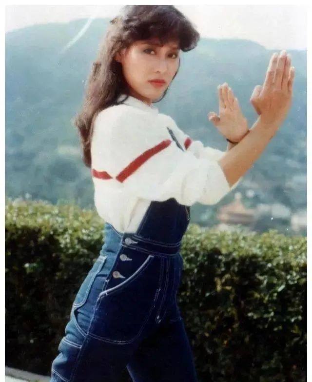 香港曾经的十大武打女明星,香港影坛十大女星
