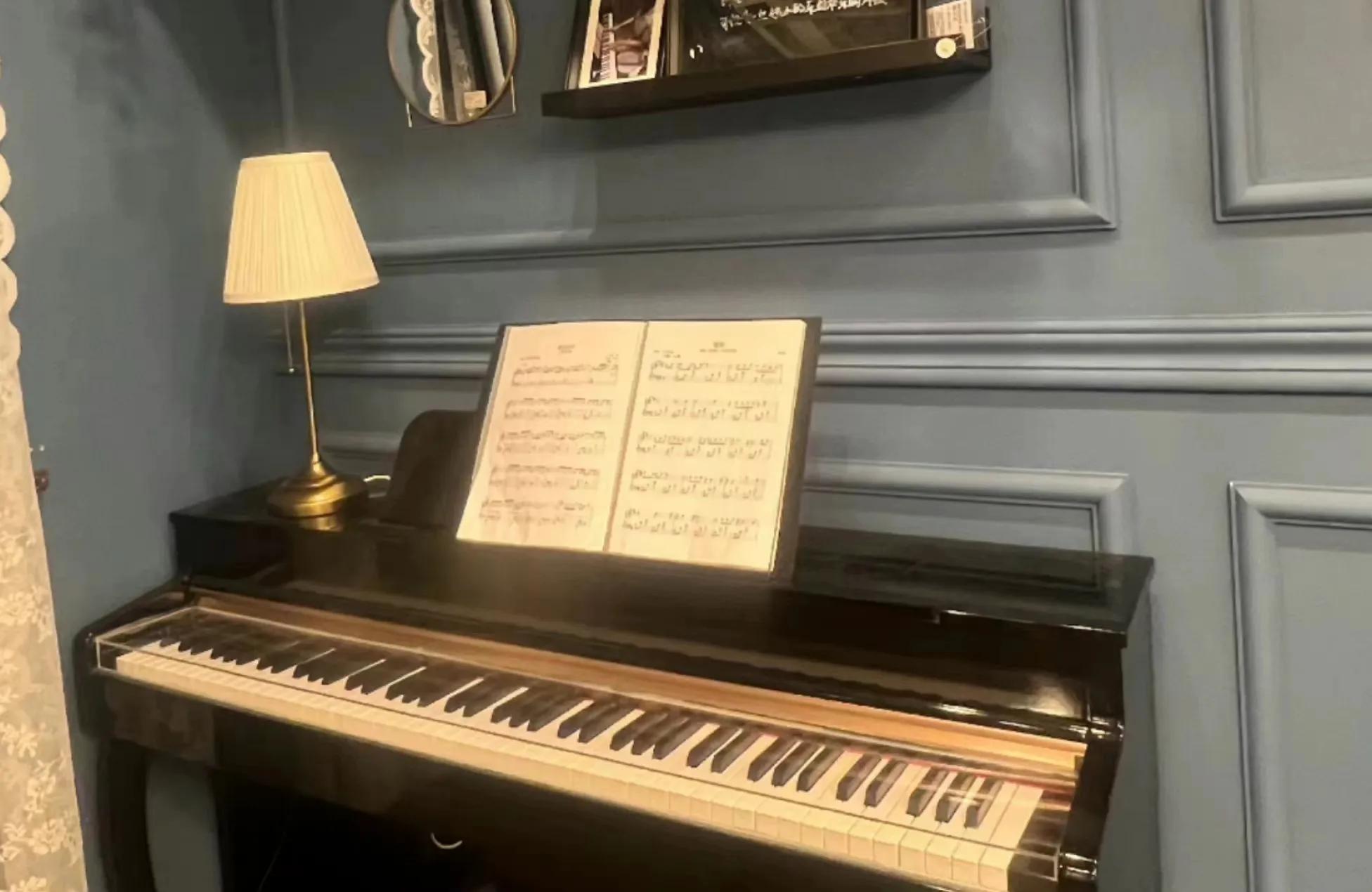 乐器之王钢琴构造,乐器之王钢琴解说