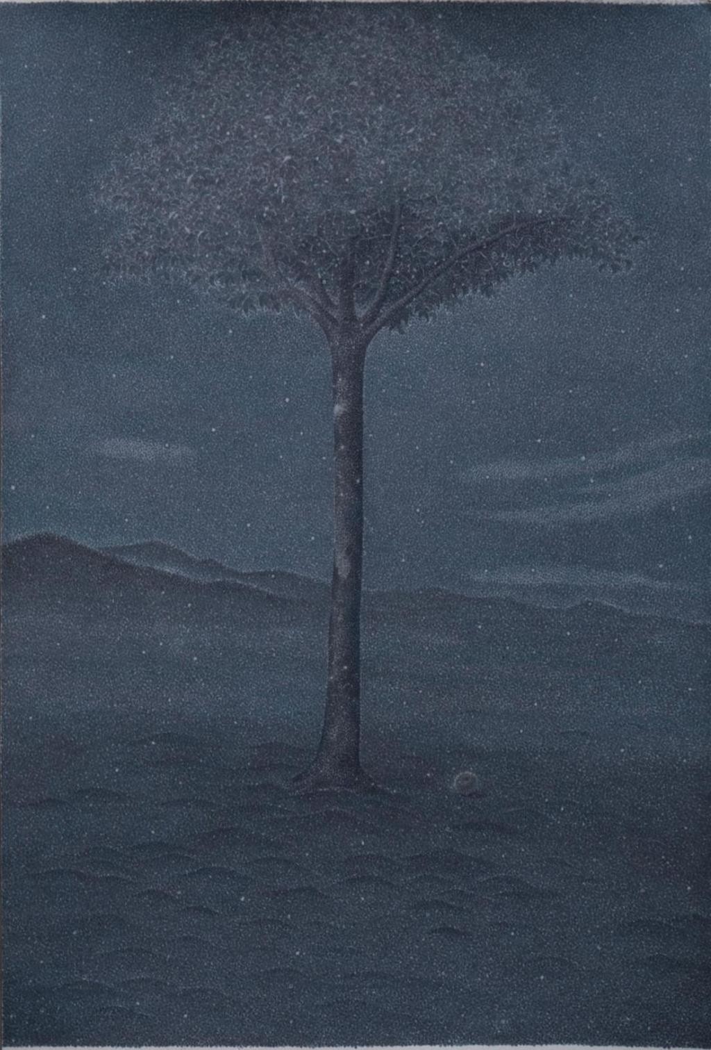 风景后期图片,风景后期