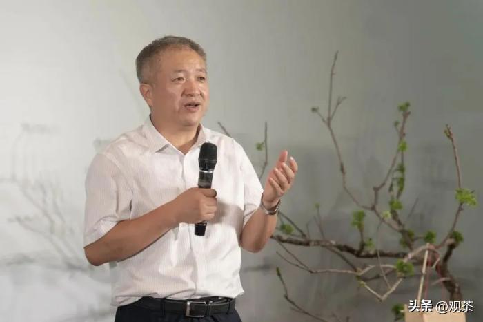 时光茗享会第33站丨福鼎白茶合天下