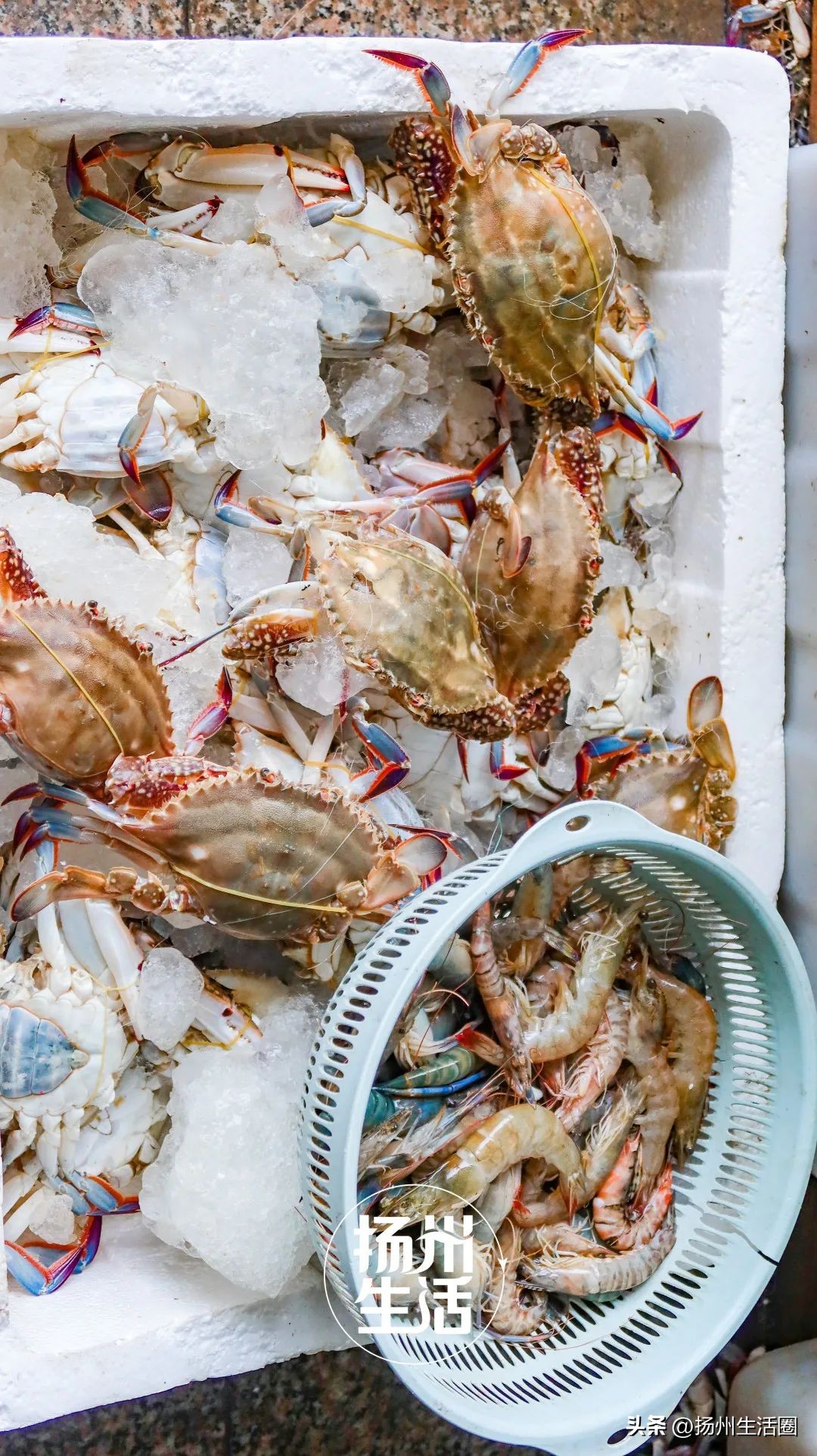 不吃一顿螃蟹，扬州人过不好这个秋天