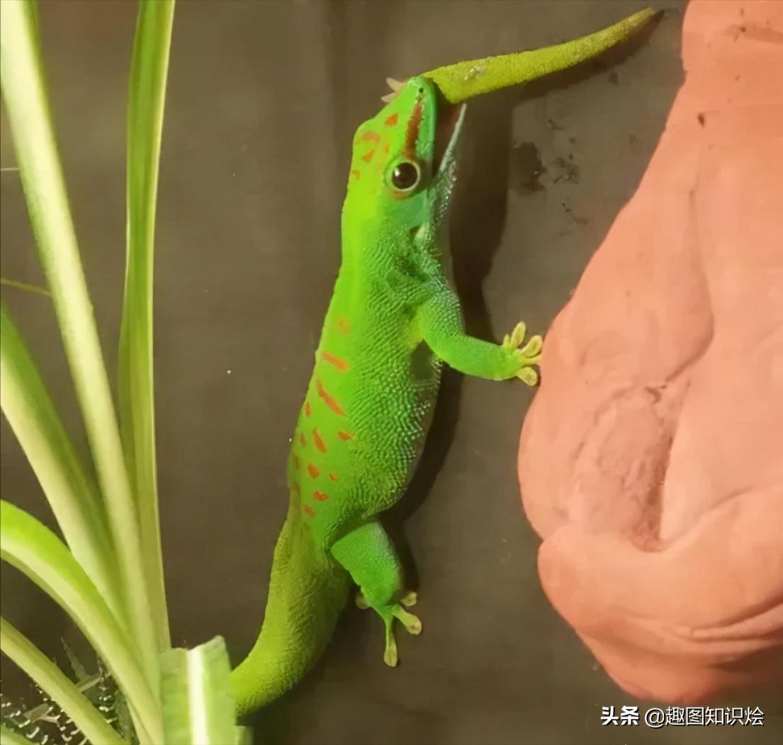 全身发抖照片,浑身发抖的图片