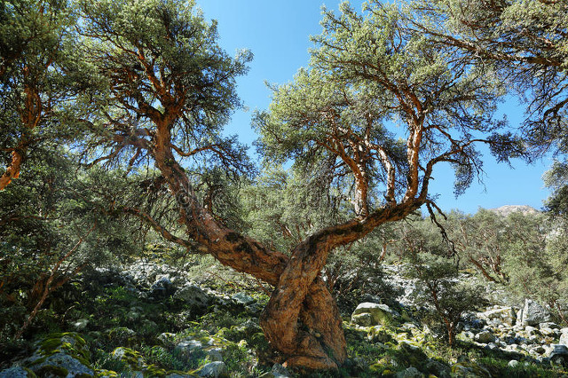 奇侠玉石缘小说最新章节免费阅读,奇侠玉石缘