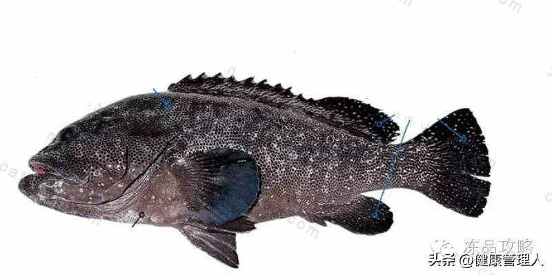 美容护肤食疗方案,美容护肤养生介绍