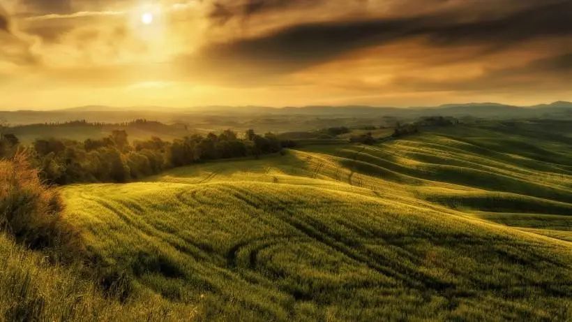 50句经典语录及感悟,100句经典名著最精华句子值得欣赏