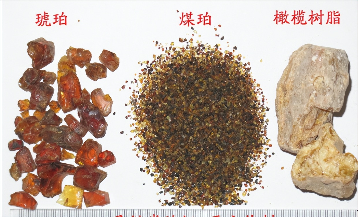 怎么识别煤琥珀,琥珀用水怎么样识别真假