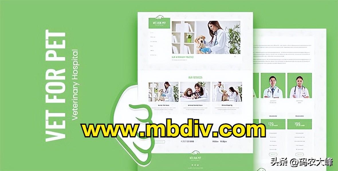 bootstrap宣传网站模板,免费的后台bootstraphtml模板