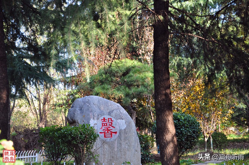 7月郑州凉快遛娃公园排行榜,郑州龙子湖避暑遛娃的地方