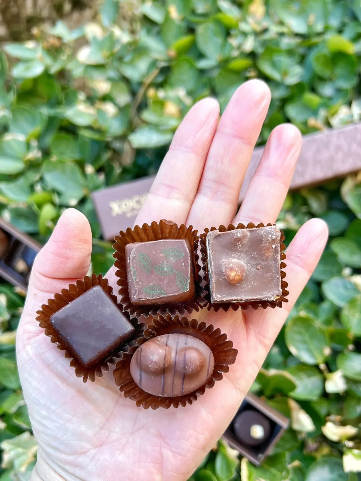 松露速溶巧克力零食推荐,零食推荐丝滑绵密的松露巧克力