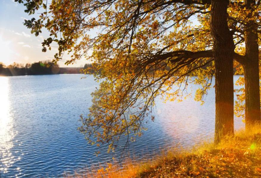 描写深秋景色优美的诗句,描写深秋优美句子古诗