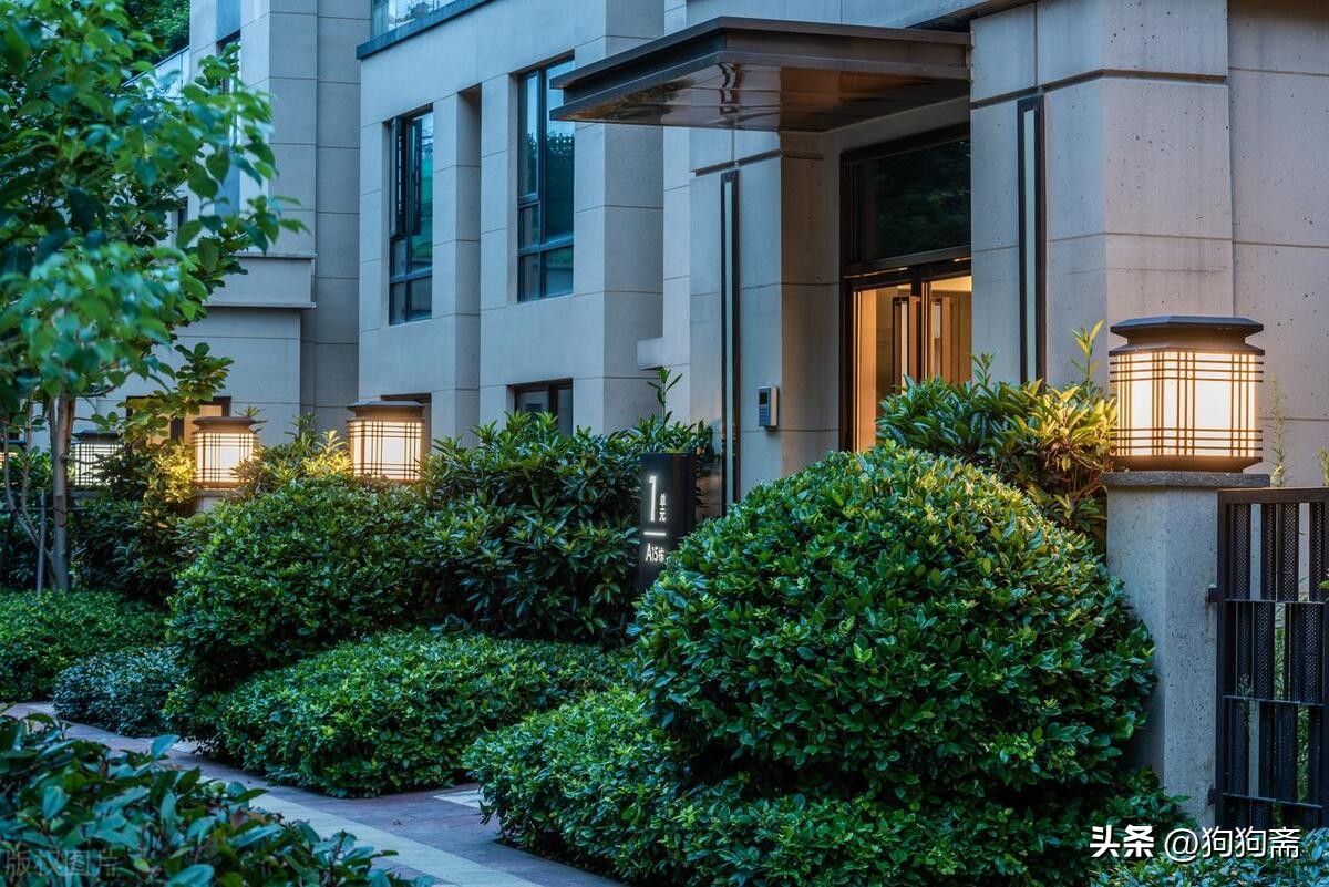 从底层开始小说,底层生活小说全集