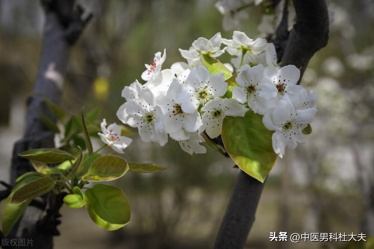 瀹楃瓔鐭皬鏄厓姘斾笉瓒冲悧,瀹楃瓔鐭皬鏄槼姘斾笉瓒冲悧