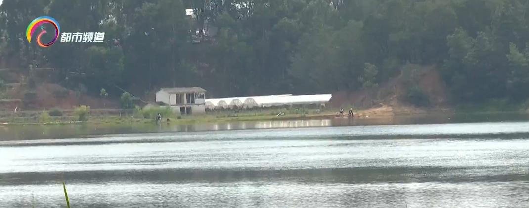 水库鱼死亡原因判断,水库捞鱼死亡水库有责任吗