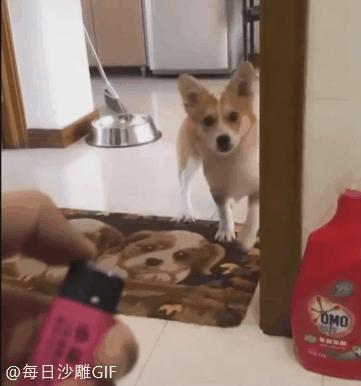 女朋友过生日送七夕礼物,女朋友送我生日礼物感动哭了