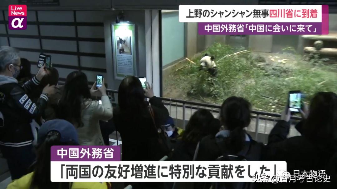 旅日大熊猫回国日本人反应,四只旅日大熊猫陆续归国