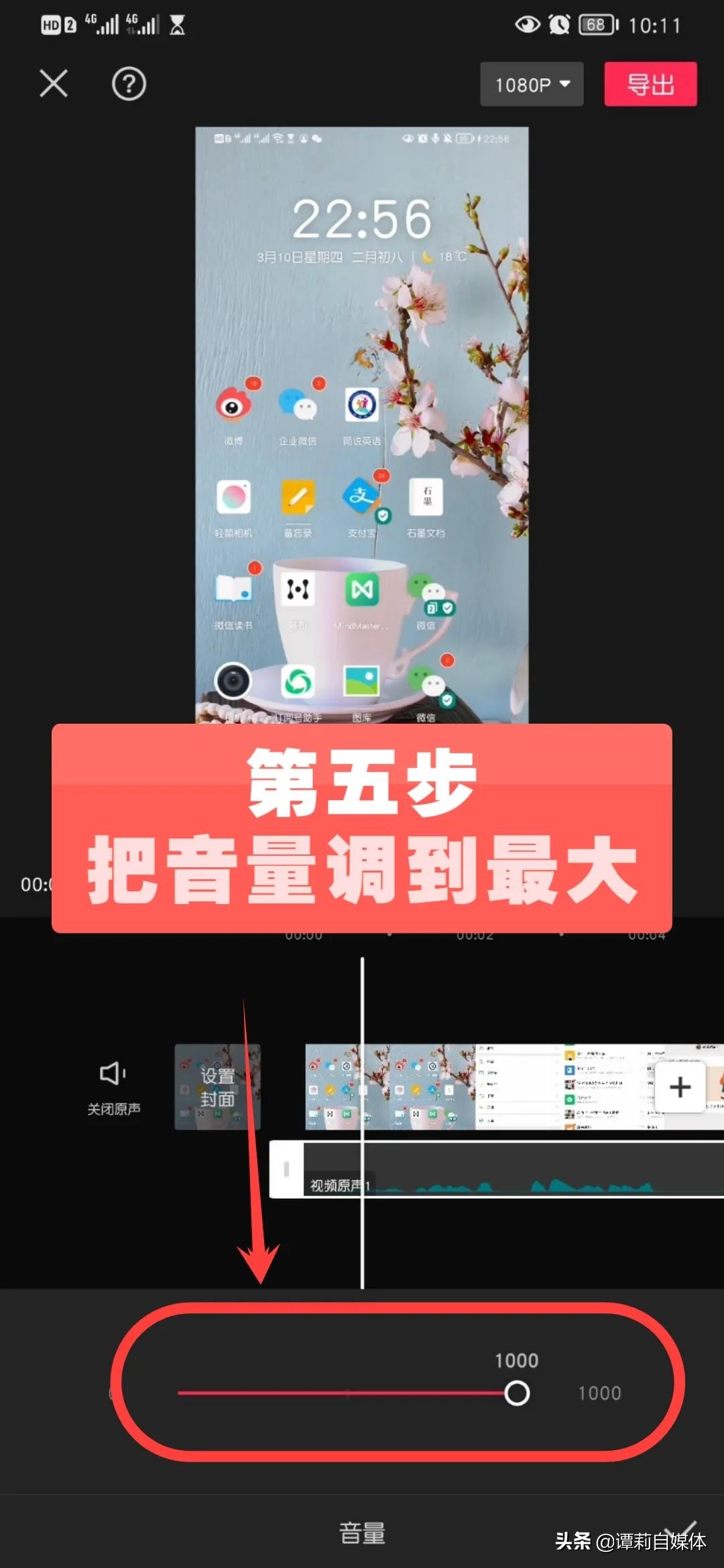 手机录屏视频剪辑怎么降噪,谭莉所有的视频