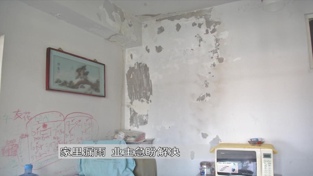 下雨外墙渗水到楼下,下雨高层墙壁渗水到屋顶