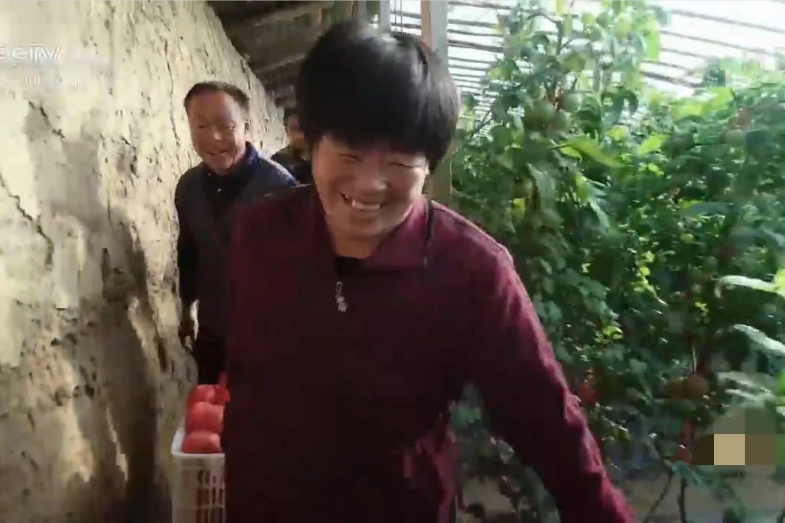 男子承包山区种植作物,90后回家创业承包50亩果园