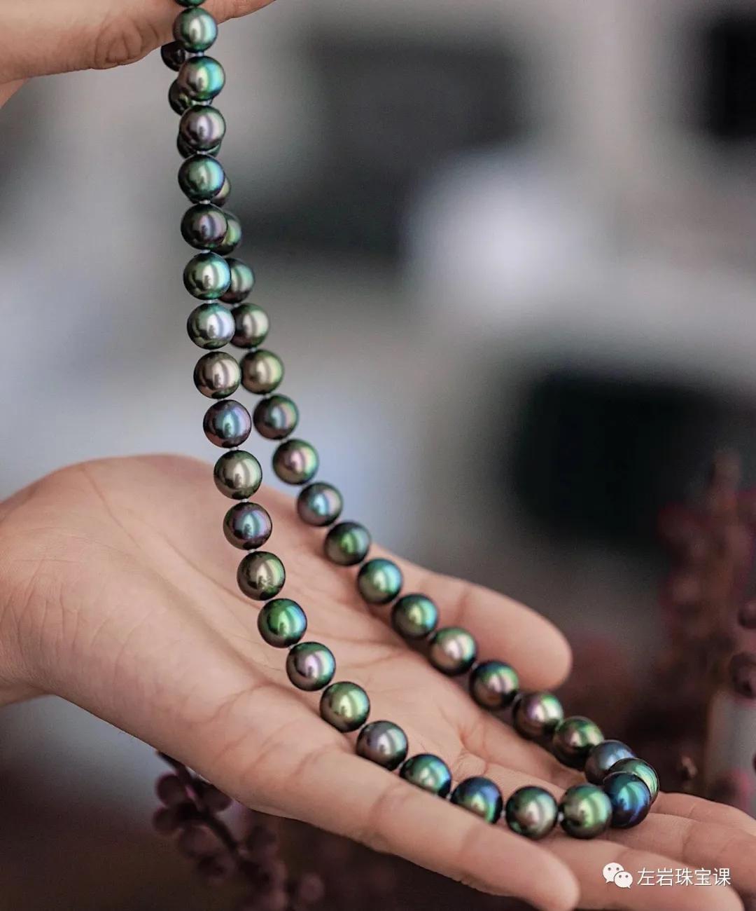 大溪地极强光珍珠鉴赏,优化过的大溪地黑珍珠