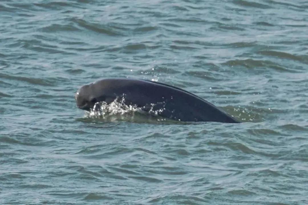 极美南京晚霞,极美南京幸福金陵
