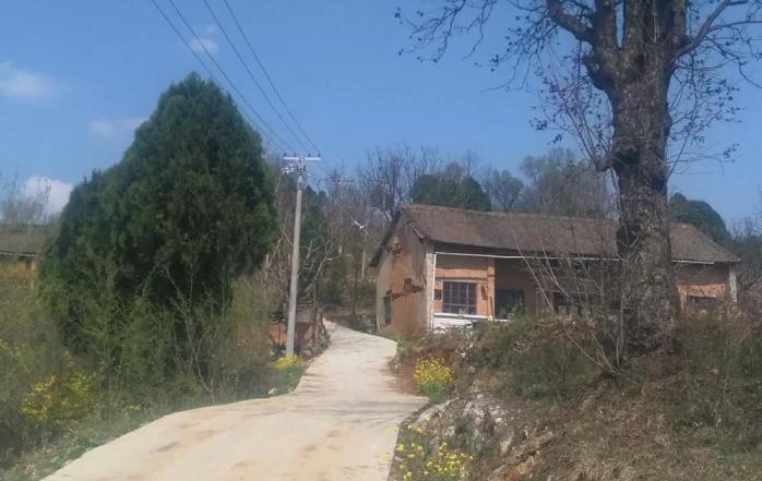 婴儿在自家门口被狗咬死,父母留孩子在家被狗咬死