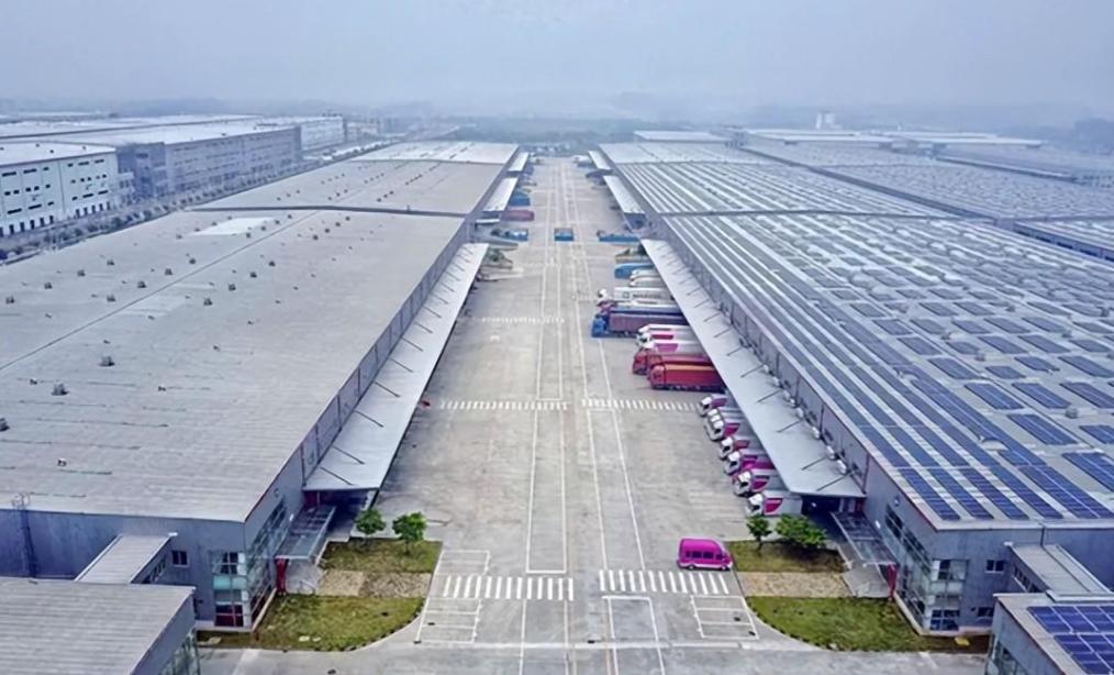 中外集体行动，减碳成全球共识，国内京东唯品会成绩不一般