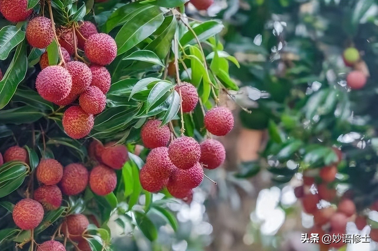 常态化的40度！咋就突然变这么热了？别急，或能重现汉唐盛世呢