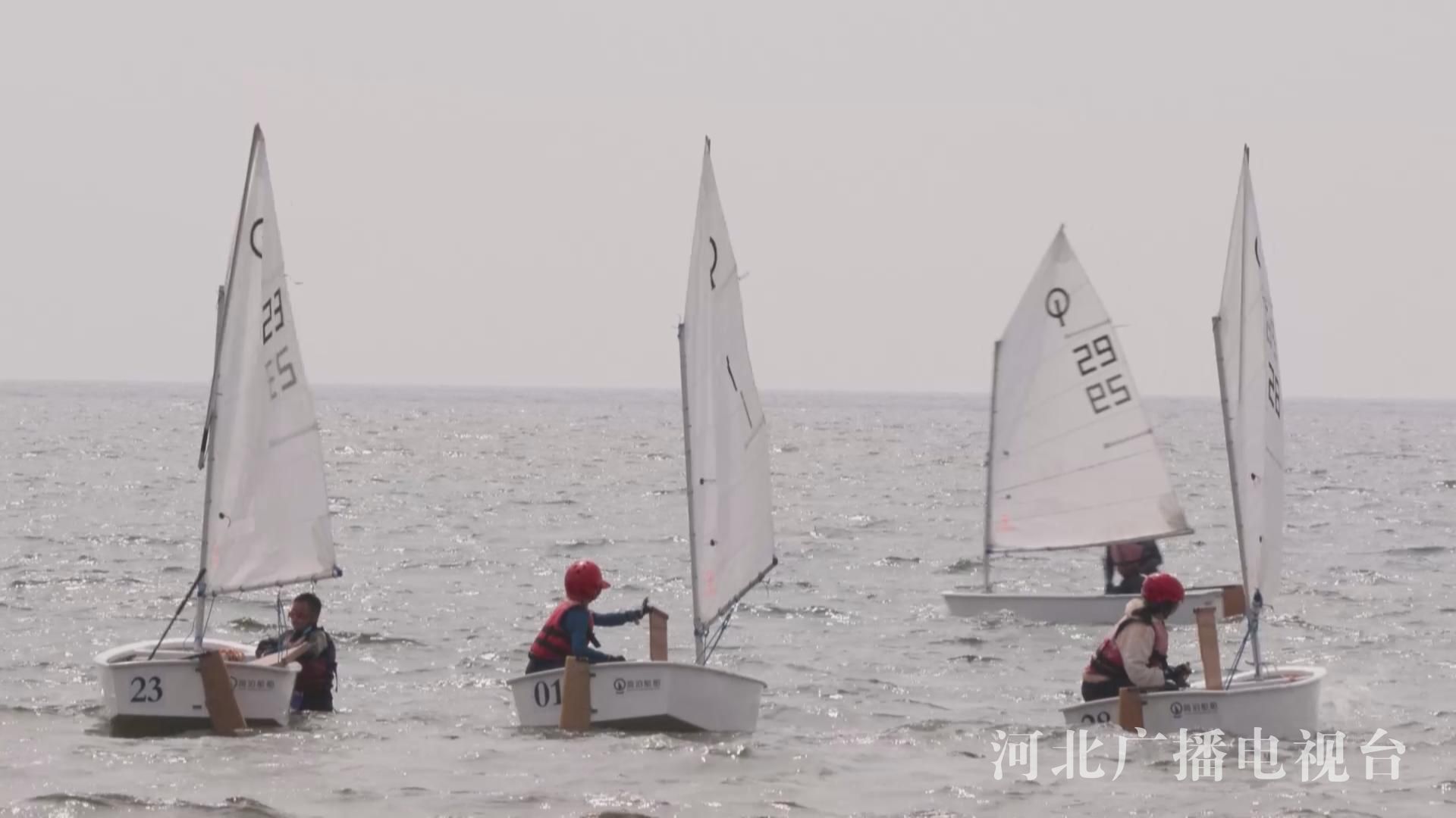 河北省第二十届运动会秦皇岛,河北省综合运动会比赛