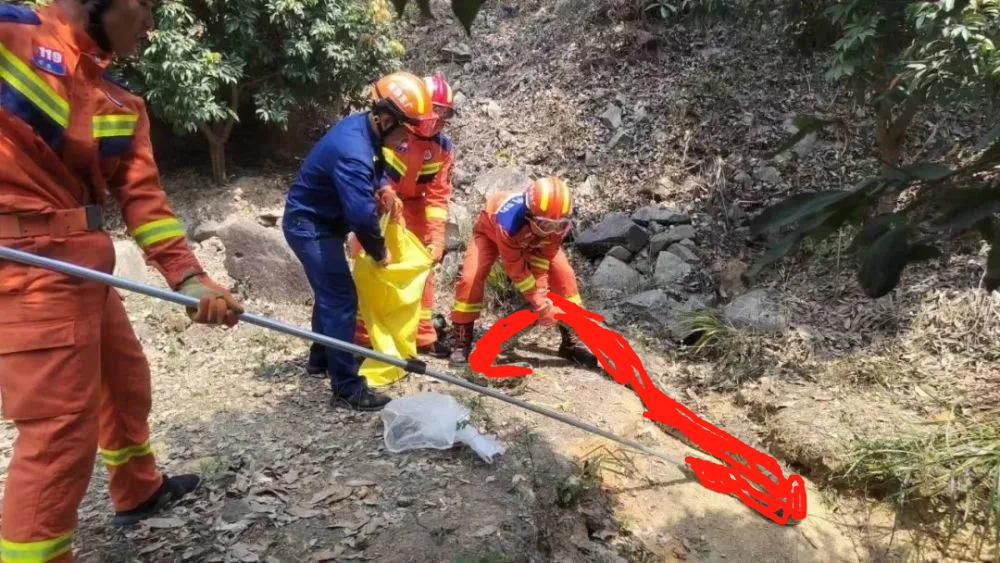 两条巨蟒潜入村庄疯狂捕食家禽,20斤大蟒蛇现身鸡笼吞鸡吓坏居民