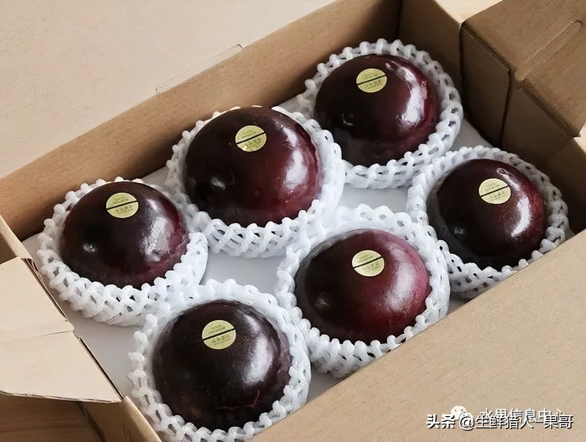 #奇异水果知多少#椰柿、黄晶果、冰淇淋果、巧克力布丁果等