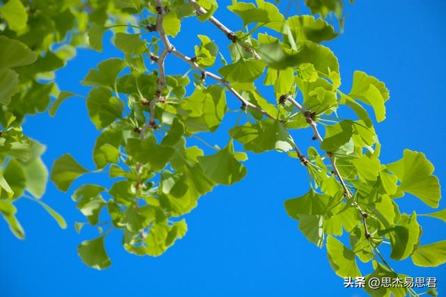 真正的高情商就藏在生活的细节里,啥也不在乎就是最好的活法